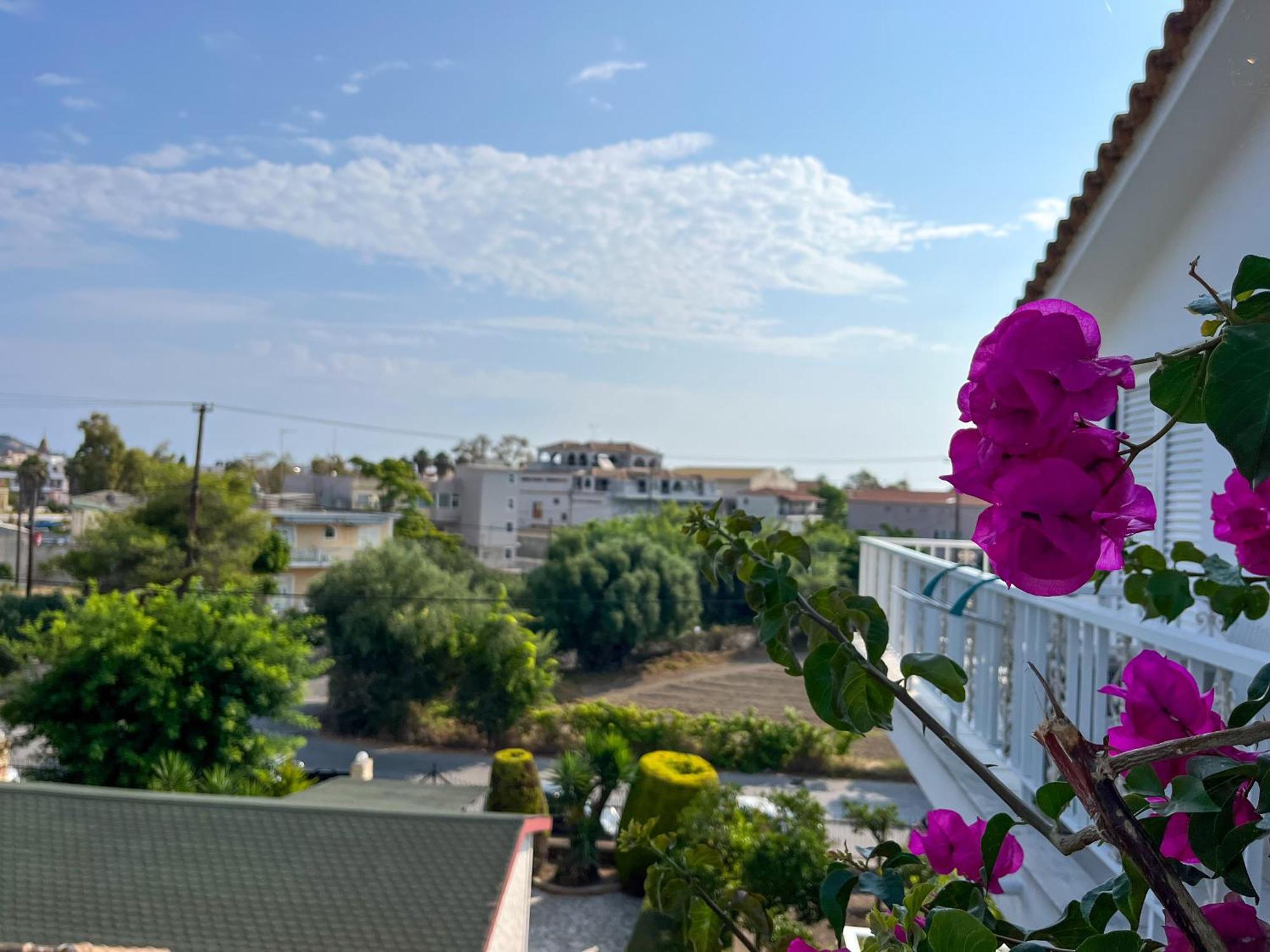 Pettas Apartments Zakynthos Town Exterior photo